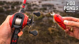 Fishing With ONLY Red Lures! (200 Ponds Ep. 43)