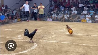 Download lagu BEAUTIFUL HENNIE CROSSES mp3