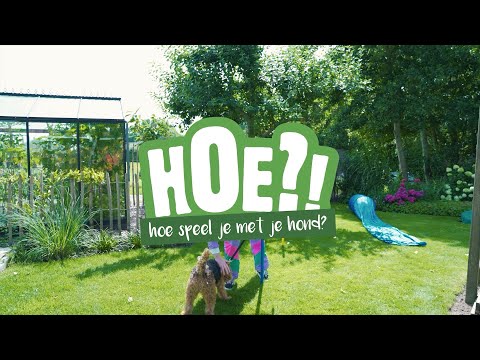 Hoe speel je met je hond? | HOE?! | Welkoop