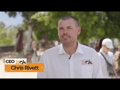 Sydney Zoo video testimonial for Sydney video production company Viewix