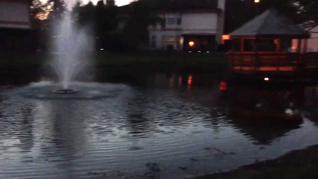 Turn on Hazard Lights if Your Car is Sinking