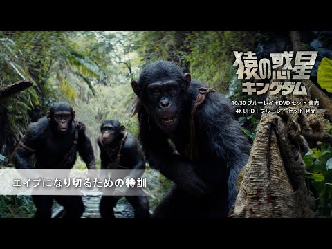 エイプになり切るための特訓（字幕版）