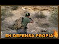 EL MANCO TRAIDOR DE LOS MIGRANTES EPISODIO 9