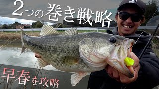 [bass окуня] Ранней весной покорите ручей Янагава, используя две извилистые стратегии / MAMORU KAGIYA