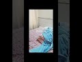 Bedroom Cleaning Before After Vlog Day In My Life Vlog Shorts Viral Trending Live Desi Vibes