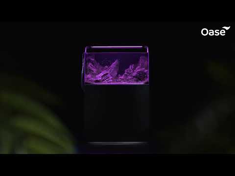 Watch Video on YouTube