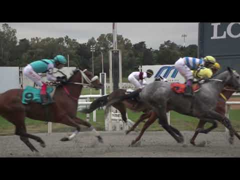 230917 c06 PASO EXOTICO