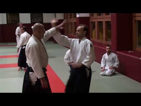Aikido Sensei Philippe Gouttard - Central axis