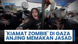 Film Dokumenter 'Kiamat Zombie' di Gaza: Panas, Penuh Bau Busuk, Anjing-anjing Memakan Jasad Manusia