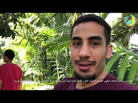 download lagu mp3 mp4 Tony Silva, download lagu Tony Silva gratis, unduh video klip Tony Silva