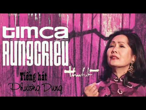 Tím cả rừng chiều Sheet - Phương Dung