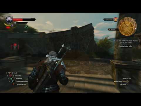 Witcher 3 - But Other Than That, How Did You Enjoy The Play ?