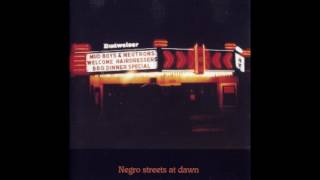 Mud Boy & The Neutrons - Negro Streets at Dawn (1993)