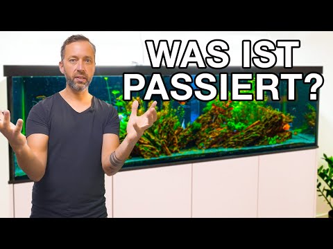 Jonas Aquariums after 1 year? Facilities & Care Tour