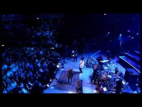 Zucchero - Bryan May (Madre Dolcissima)