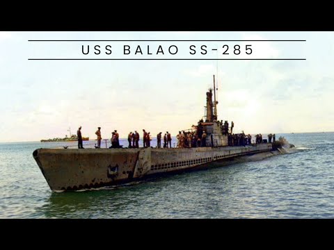 The Remarkable Story of USS Billfish: A Balao-Class Hero