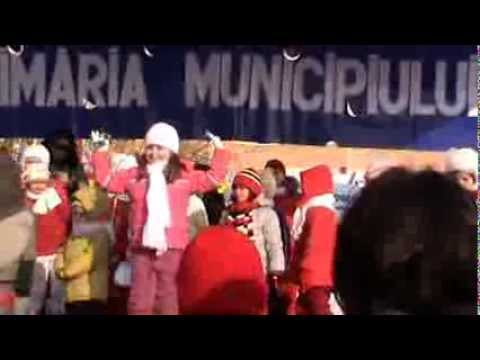 Barzu Denisa 8 anisori