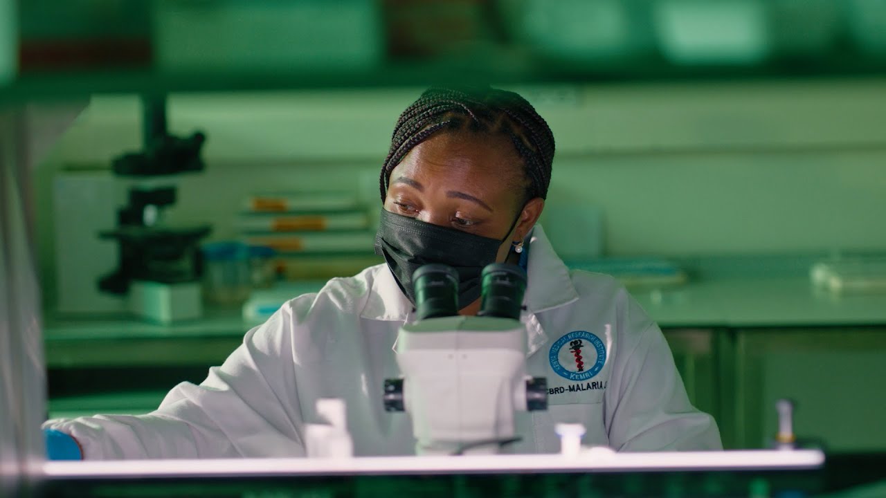 "Are we going to lose lives to malaria again?"