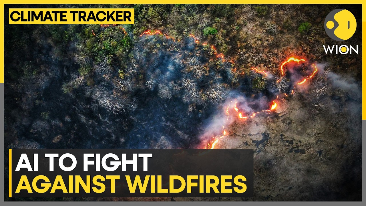 US States Turn To AI As Wildfire Risk Grows | WION Climate Tracker