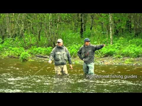 Salmon fishing in Meråker | 4K