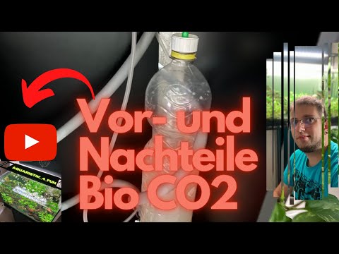 Vor- und Nachteile Bio CO2 /Aquaristik_4_fun/