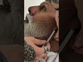 Grey Beard Look 🔥#shorts 🧨🧨🧨