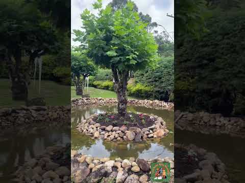 A BODEGA  #santoantoniodopinhal #saopaulo #passeio #lugarlindo #turismosp #viagem