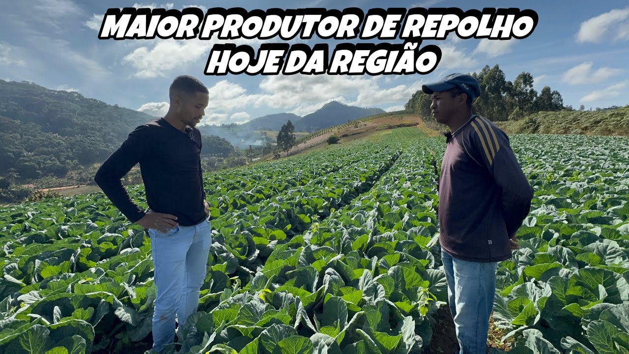 NÃO PLANTE REPOLHO 🥬 ANTES DE VER ESSE VÍDEO