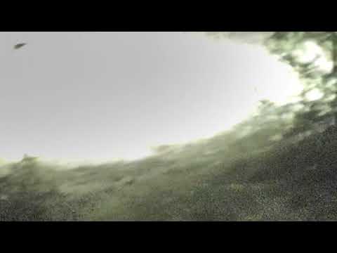 Djuma Private Game Reserve Live Stream: genet out hunting