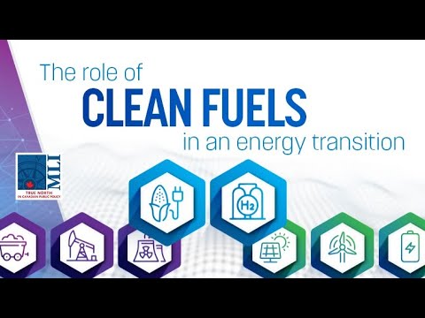 The Role of Clean Fuels in an Energy Transition