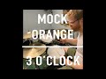 Mock Orange - 3 O'Clock - DRUM COVER