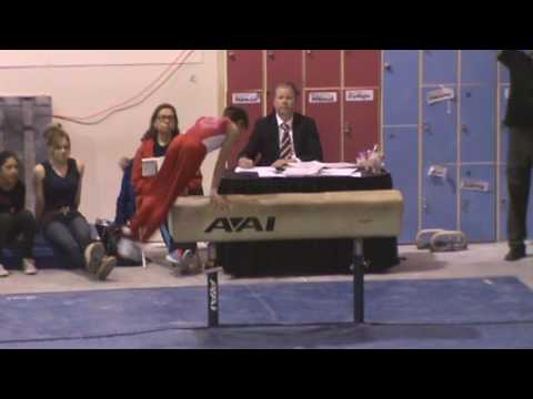 L8 ERG Pommel