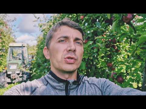 Am Ajuns Vremea In Care Avem Prea Multi Vorbitori De Hristos Si Tot Mai Putini Implinitori !!!