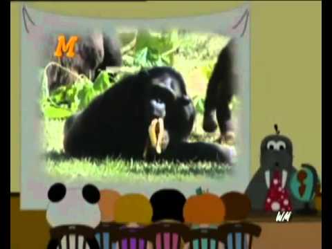 Panda vai à escola - Alfabeto dos animais.mpg