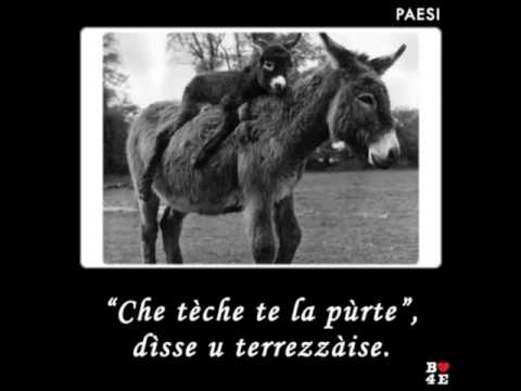 Proverbio di Bitonto - B4E – PA0140