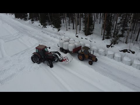 Paalien ajoa  //Silage bale transporting//
