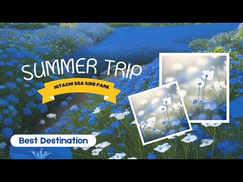 Hitachi Seaside Park 国営ひたち海浜公園|Japan Travel| Anu CH vlogs