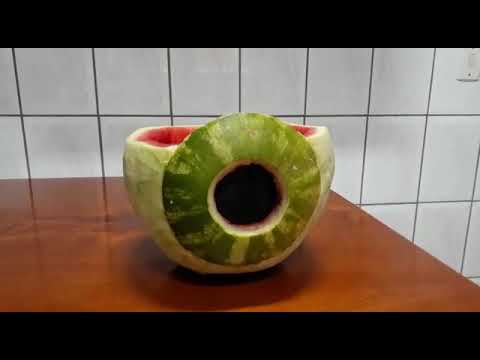 Anatomia  do olho parte externa , explicada de forma simples