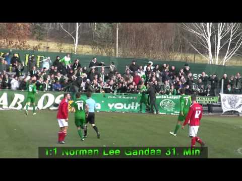VfL 05 Hohenstein-Ernstthal vs. BSG Chemie Leipzig