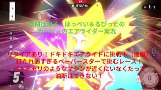 自閉症双子がエアライダーをやってみた　リタイアあり！ドキドキエアライド編（後編）