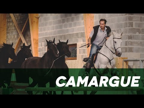 , title : 'Camargue'