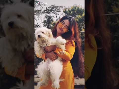 🐕🐕🐕🐕🐕🐶🐶🐶🐶🐶😉😉😉😉😗😗😗😗😙😙😙😙😜😜😜👌👌👌❤❤