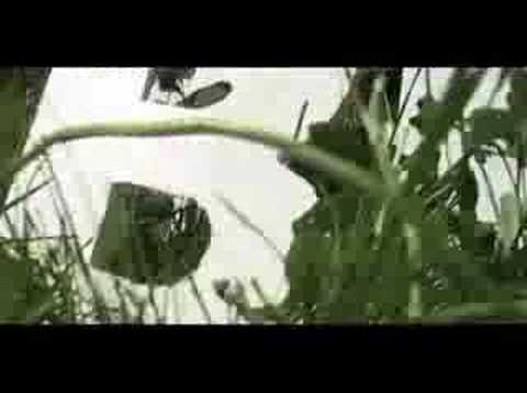 Kubrick Season trailer: Patrick Lo/Zero 'Grass'