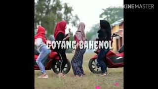 Download lagu Goyang wik wik Aisyah masuk pak Eko Spg mp3