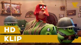 angry birds ve filmu 2