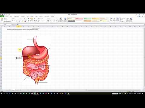Creating Quiz or Game in MS Excel