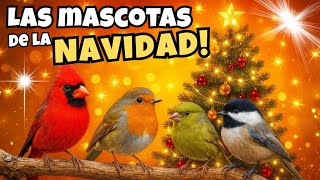 Descubre LAS 5 MASCOTAS DE LA NAVIDAD ¿Cuales son y Por que?