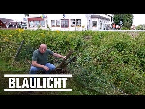 Hier krachts' ständig - Der Unfallgarten der B75