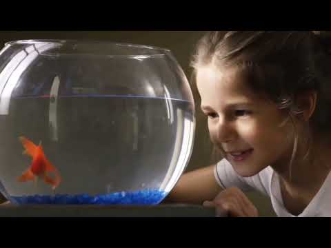 A menina Índigo - Assistam e muito show este filme ... recomendo