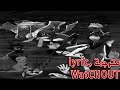 WatCHOUT Asteria Lyric مترجمة